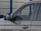 2026 Ford Expedition Tremor®
