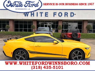 2024 Ford Mustang EcoBoost Fastback