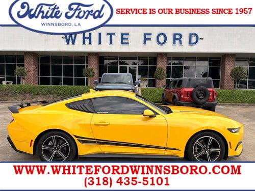 2024 Ford Mustang EcoBoost Fastback