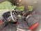 2024 Ford Ranger Raptor 4WD SuperCrew 5' Box